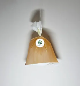 pouch-2